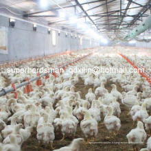 Équipement complet pour la volaille Poultry House